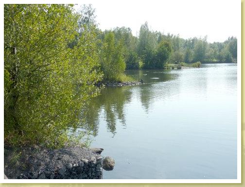 Rieulay_01.09.2011 (5)